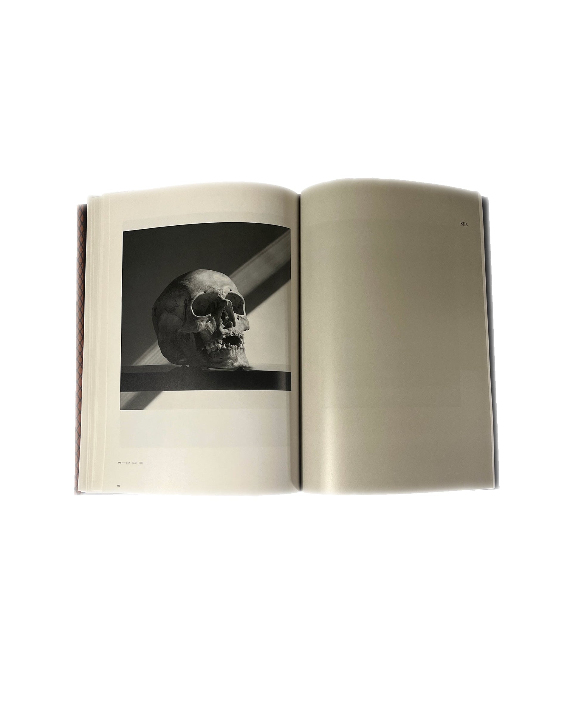 MAPPLETHORPE JAPANESE EXHIBITION BOOK