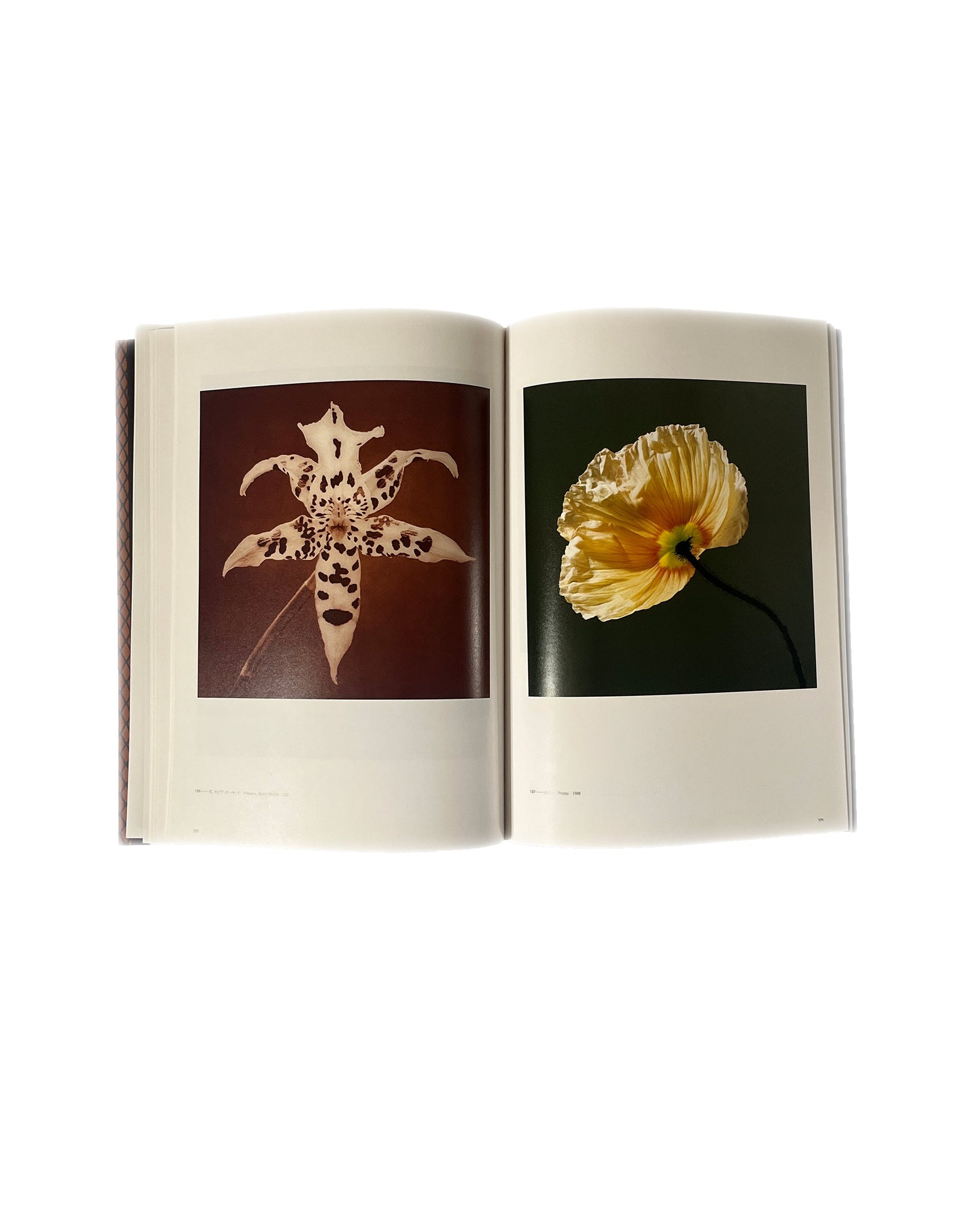 MAPPLETHORPE JAPANESE EXHIBITION BOOK
